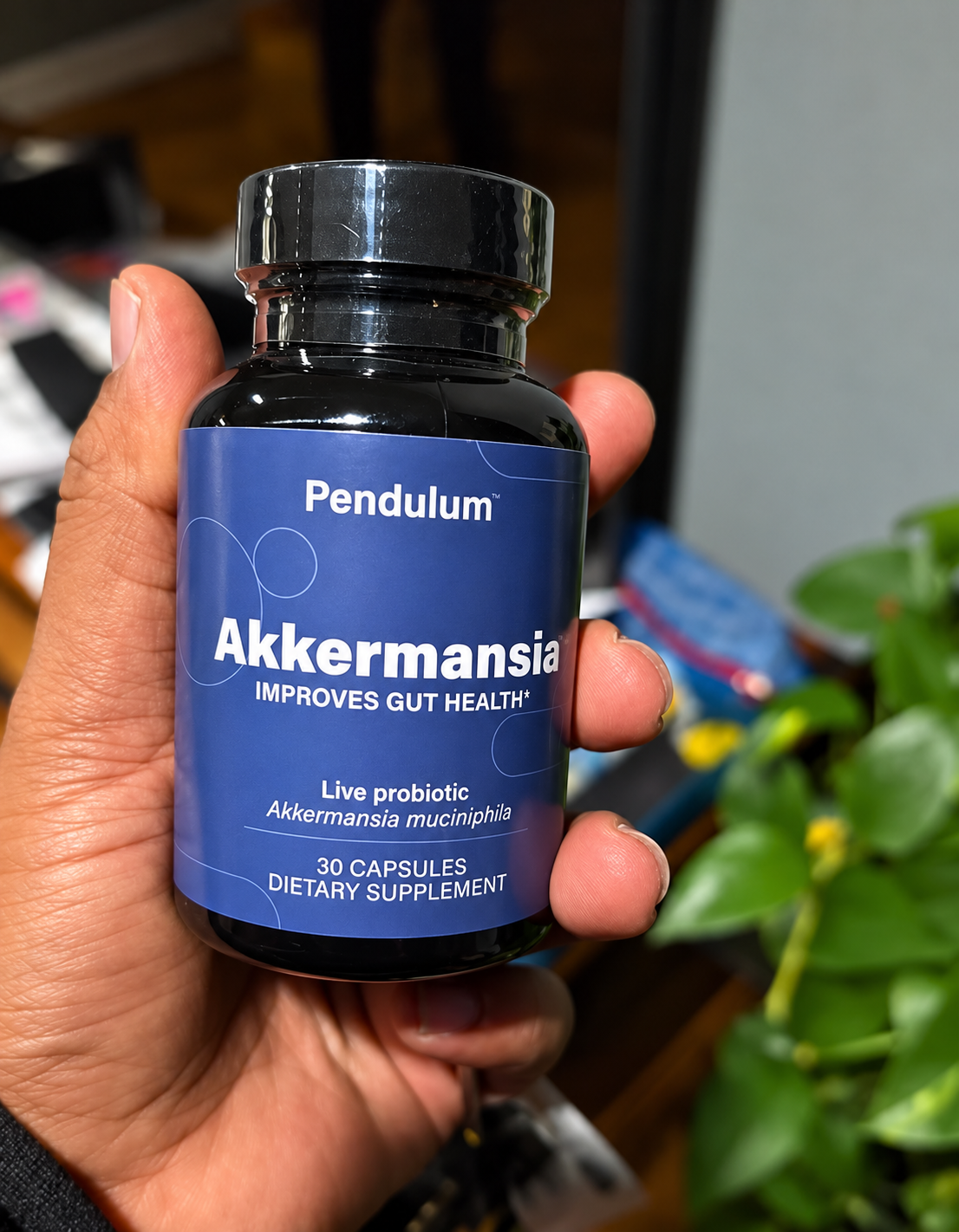 Pendulum Akkermansia Live Probiotic, 30 Capsules